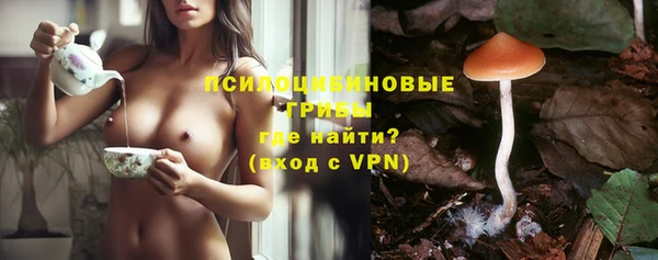 дживик Белоозёрский